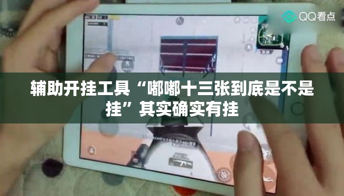 辅助开挂工具“嘟嘟十三张到底是不是挂”其实确实有挂