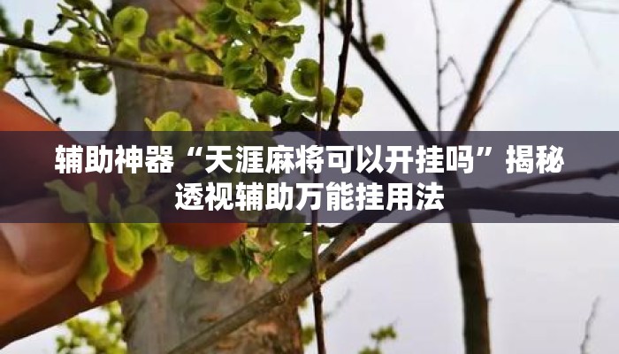 辅助神器“天涯麻将可以开挂吗”揭秘透视辅助万能挂用法