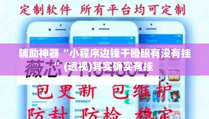 辅助神器“小程序边锋干瞪眼有没有挂”(透视)其实确实有挂 