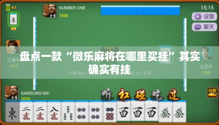 盘点一款“微乐麻将在哪里买挂”其实确实有挂