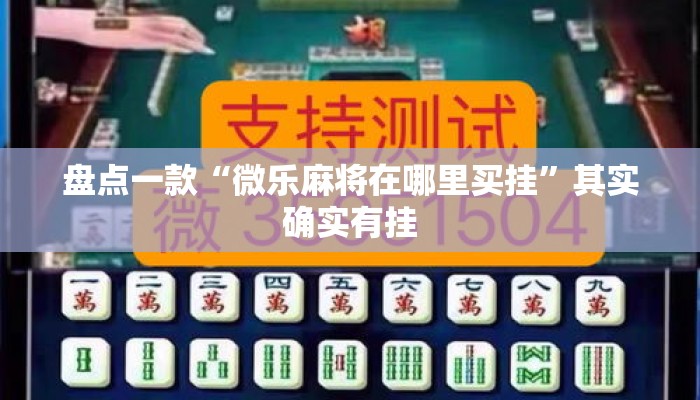 盘点一款“微乐麻将在哪里买挂”其实确实有挂
