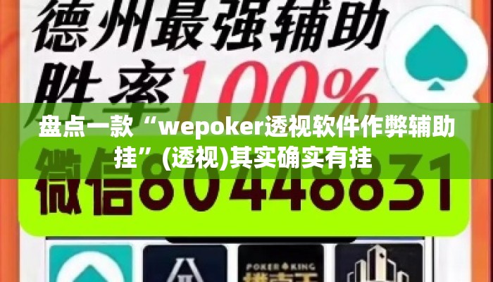 盘点一款“wepoker透视软件作弊辅助挂”(透视)其实确实有挂 