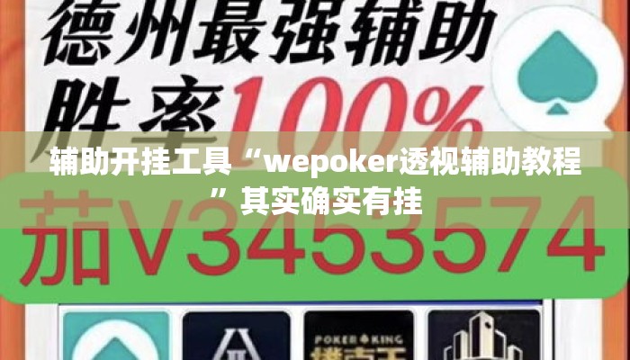 辅助开挂工具“wepoker透视辅助教程”其实确实有挂