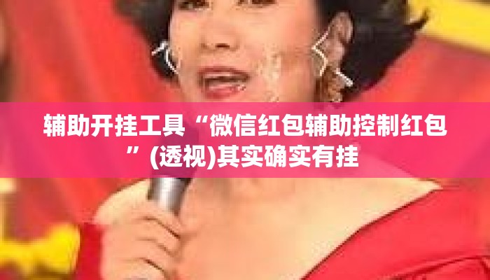 辅助开挂工具“微信红包辅助控制红包”(透视)其实确实有挂 