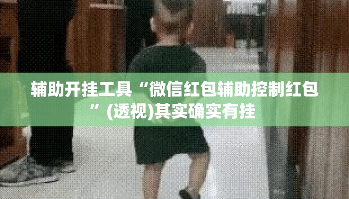 辅助开挂工具“微信红包辅助控制红包	”(透视)其实确实有挂 