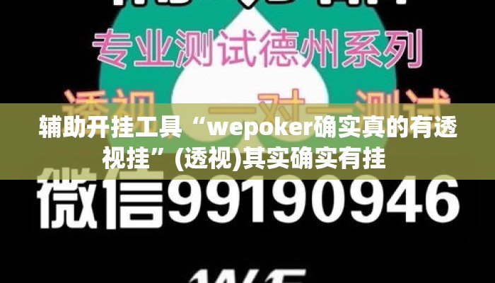 辅助开挂工具“wepoker确实真的有透视挂	”(透视)其实确实有挂 