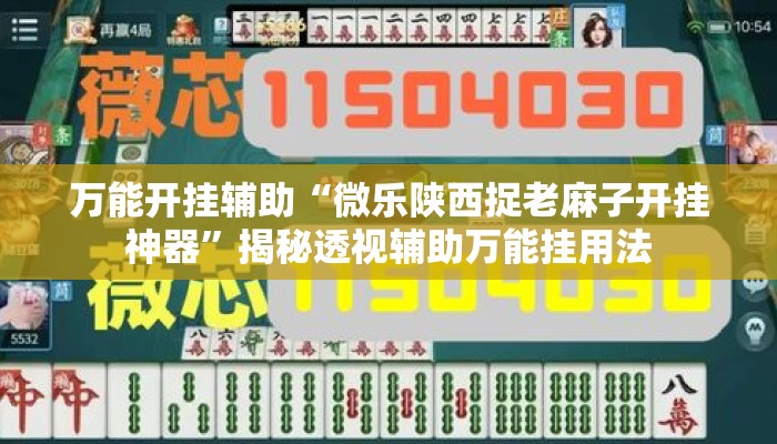 万能开挂辅助“微乐陕西捉老麻子开挂神器”揭秘透视辅助万能挂用法