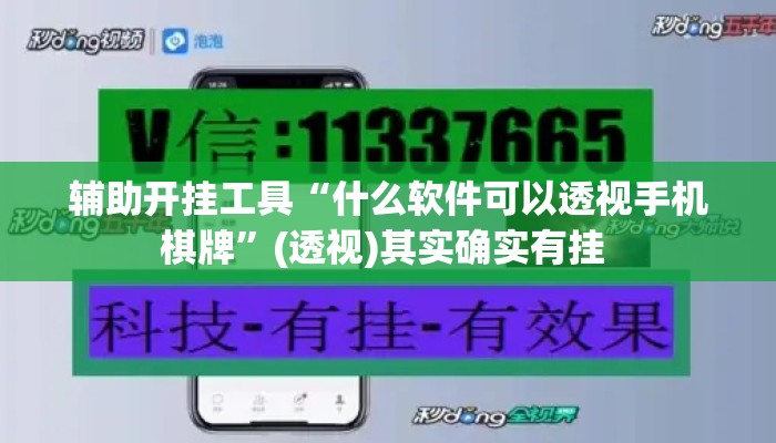 辅助开挂工具“什么软件可以透视手机棋牌”(透视)其实确实有挂 