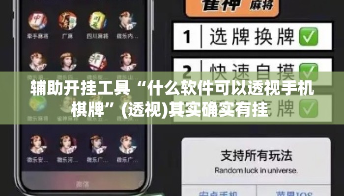 辅助开挂工具“什么软件可以透视手机棋牌	”(透视)其实确实有挂 