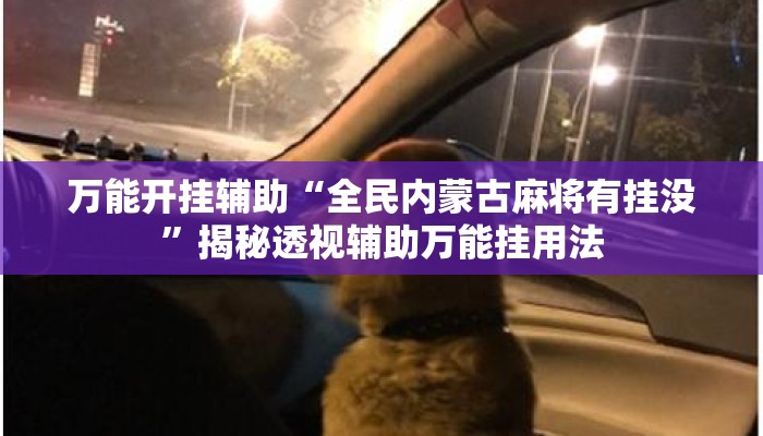 万能开挂辅助“全民内蒙古麻将有挂没”揭秘透视辅助万能挂用法