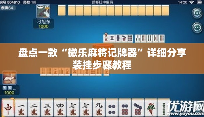 盘点一款“微乐麻将记牌器”详细分享装挂步骤教程