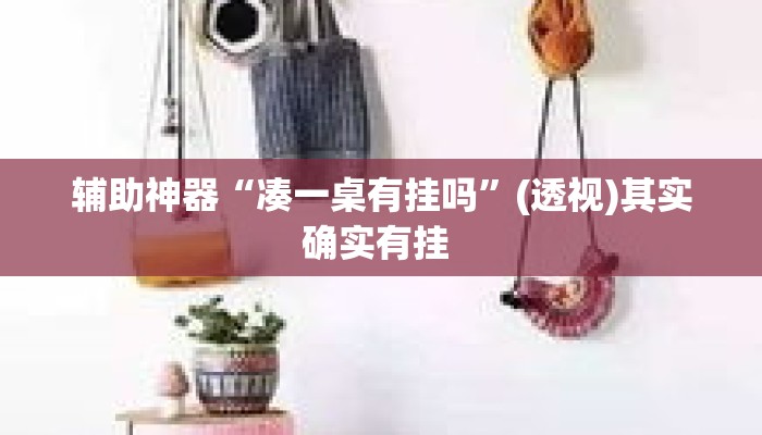 辅助神器“凑一桌有挂吗”(透视)其实确实有挂 