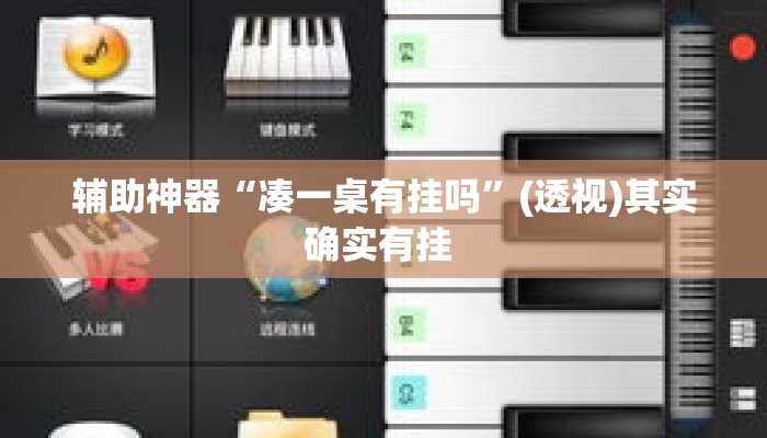 辅助神器“凑一桌有挂吗”(透视)其实确实有挂 