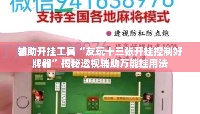 辅助开挂工具“友玩十三张开挂控制好牌器”揭秘透视辅助万能挂用法
