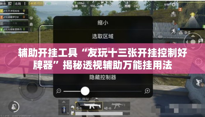 辅助开挂工具“友玩十三张开挂控制好牌器	”揭秘透视辅助万能挂用法