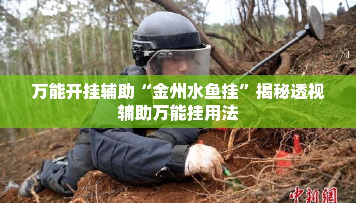 万能开挂辅助“金州水鱼挂”揭秘透视辅助万能挂用法