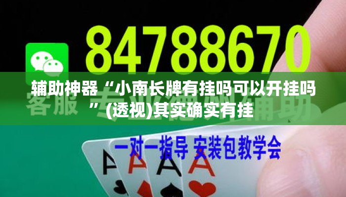 辅助神器“小南长牌有挂吗可以开挂吗”(透视)其实确实有挂 