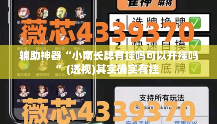 辅助神器“小南长牌有挂吗可以开挂吗	”(透视)其实确实有挂 