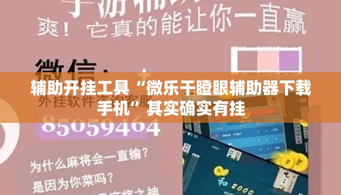 辅助开挂工具“微乐干瞪眼辅助器下载手机”其实确实有挂