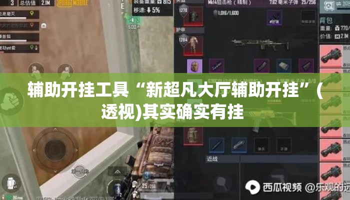 辅助开挂工具“新超凡大厅辅助开挂”(透视)其实确实有挂 