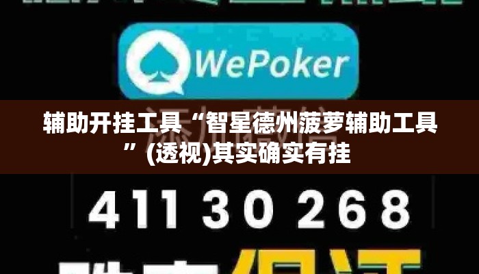辅助开挂工具“智星德州菠萝辅助工具”(透视)其实确实有挂 