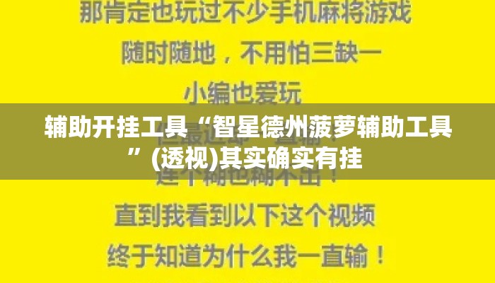 辅助开挂工具“智星德州菠萝辅助工具”(透视)其实确实有挂 