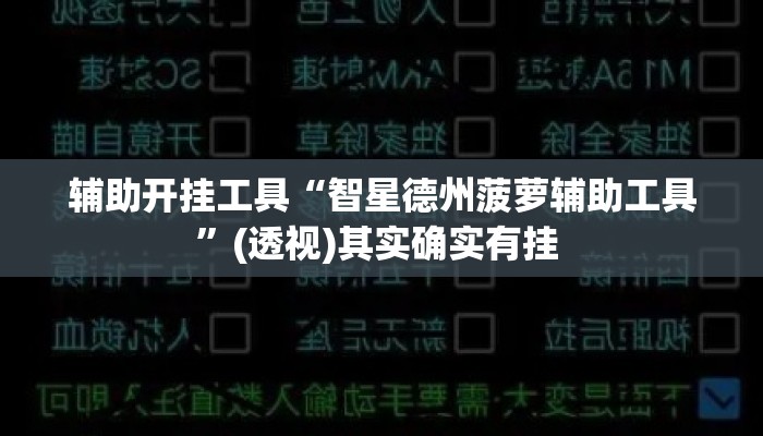 辅助开挂工具“智星德州菠萝辅助工具”(透视)其实确实有挂 