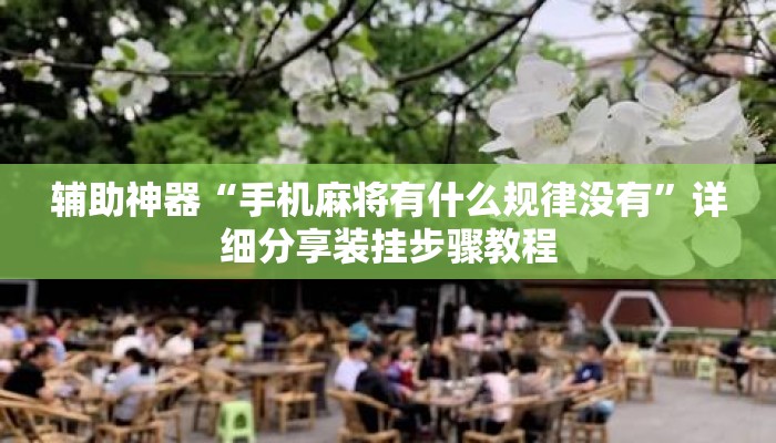 辅助神器“手机麻将有什么规律没有	”详细分享装挂步骤教程