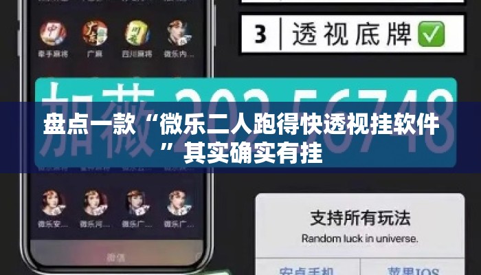 盘点一款“微乐二人跑得快透视挂软件”其实确实有挂