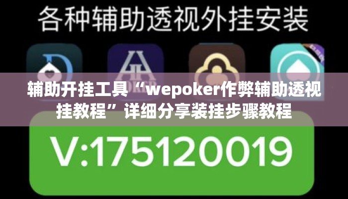 辅助开挂工具“wepoker作弊辅助透视挂教程”详细分享装挂步骤教程