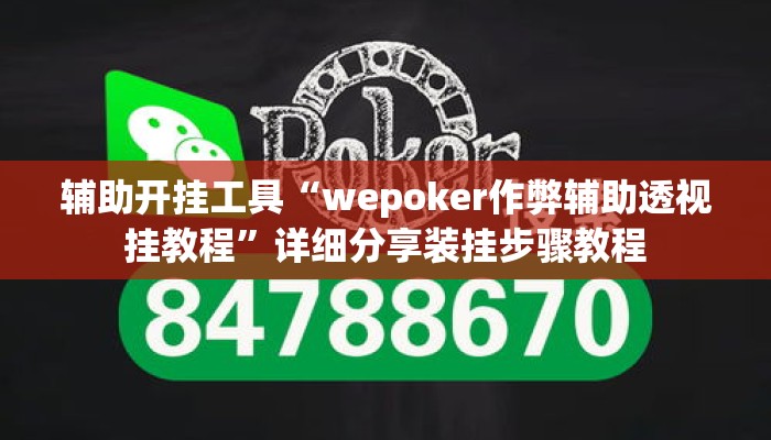 辅助开挂工具“wepoker作弊辅助透视挂教程	”详细分享装挂步骤教程
