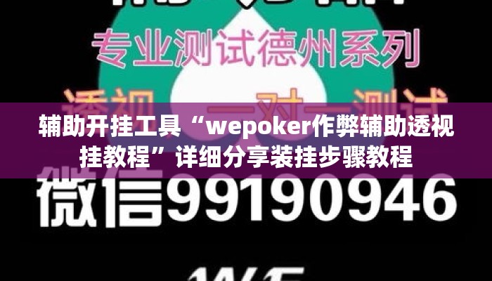 辅助开挂工具“wepoker作弊辅助透视挂教程”详细分享装挂步骤教程