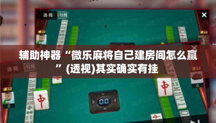 辅助神器“微乐麻将自己建房间怎么赢	”(透视)其实确实有挂 