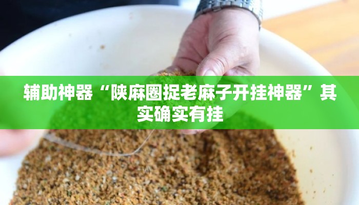 辅助神器“陕麻圈捉老麻子开挂神器”其实确实有挂