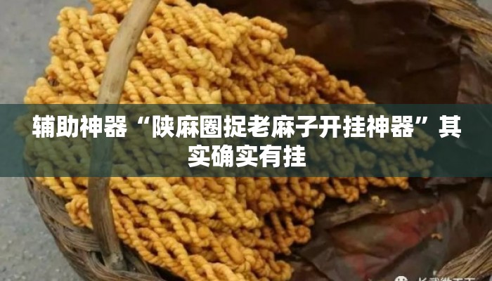辅助神器“陕麻圈捉老麻子开挂神器	”其实确实有挂