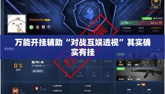 万能开挂辅助“对战互娱透视	”其实确实有挂