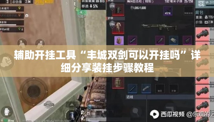 辅助开挂工具“丰城双剑可以开挂吗”详细分享装挂步骤教程