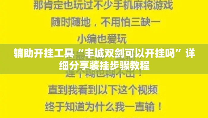 辅助开挂工具“丰城双剑可以开挂吗”详细分享装挂步骤教程