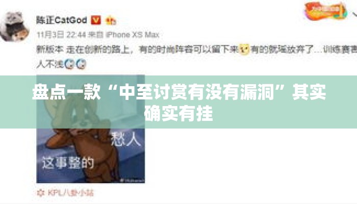 盘点一款“中至讨赏有没有漏洞”其实确实有挂