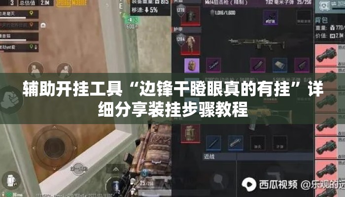 辅助开挂工具“边锋干瞪眼真的有挂”详细分享装挂步骤教程
