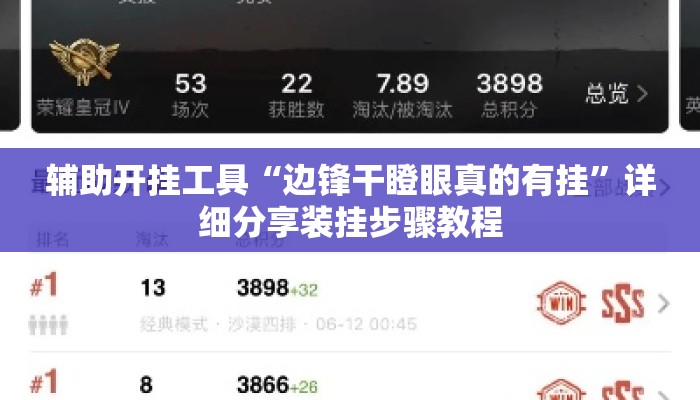 辅助开挂工具“边锋干瞪眼真的有挂”详细分享装挂步骤教程