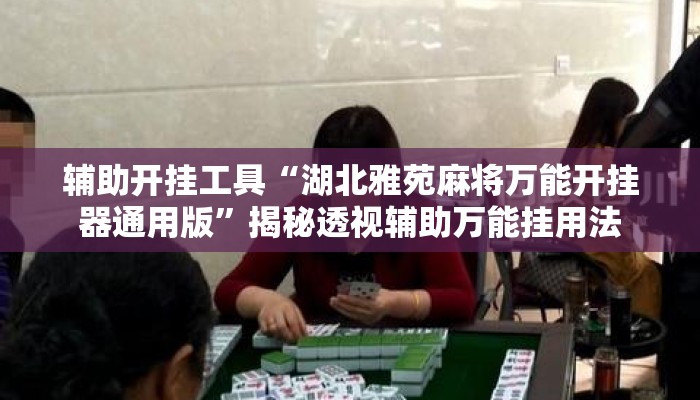 辅助开挂工具“湖北雅苑麻将万能开挂器通用版	”揭秘透视辅助万能挂用法