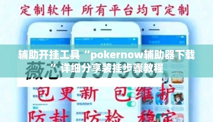 辅助开挂工具“pokernow辅助器下载”详细分享装挂步骤教程