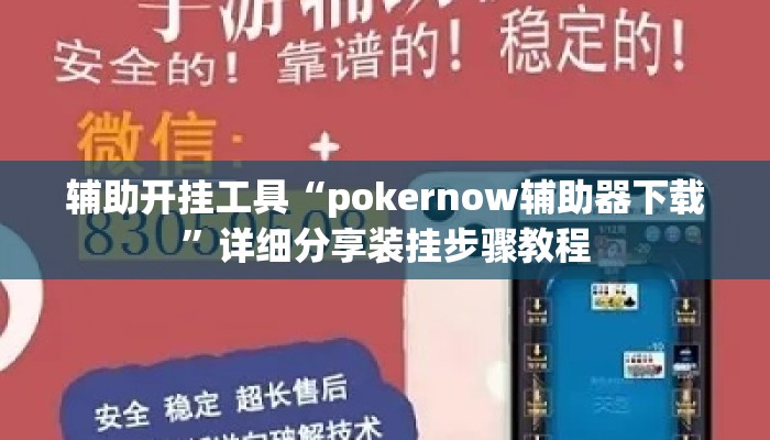 辅助开挂工具“pokernow辅助器下载”详细分享装挂步骤教程