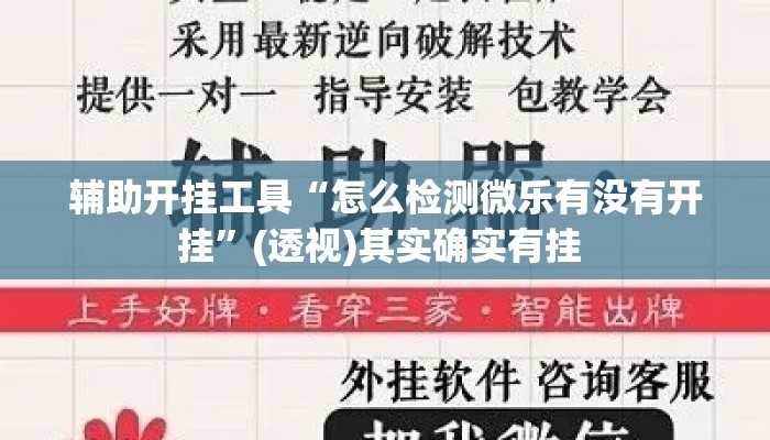 辅助开挂工具“怎么检测微乐有没有开挂”(透视)其实确实有挂 