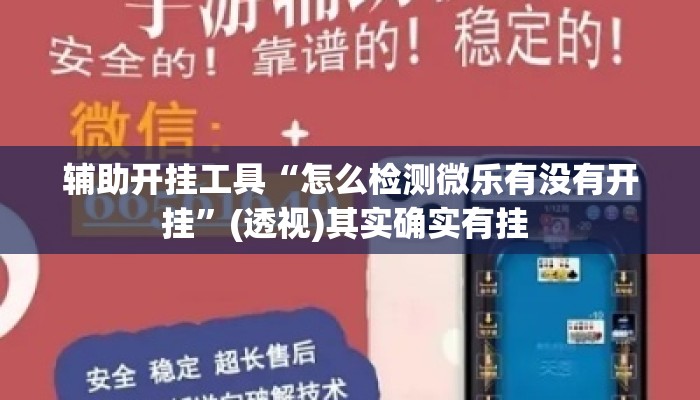 辅助开挂工具“怎么检测微乐有没有开挂”(透视)其实确实有挂 