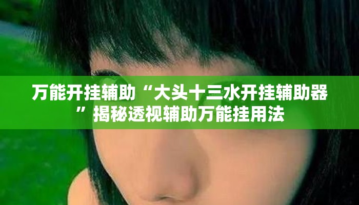万能开挂辅助“大头十三水开挂辅助器	”揭秘透视辅助万能挂用法