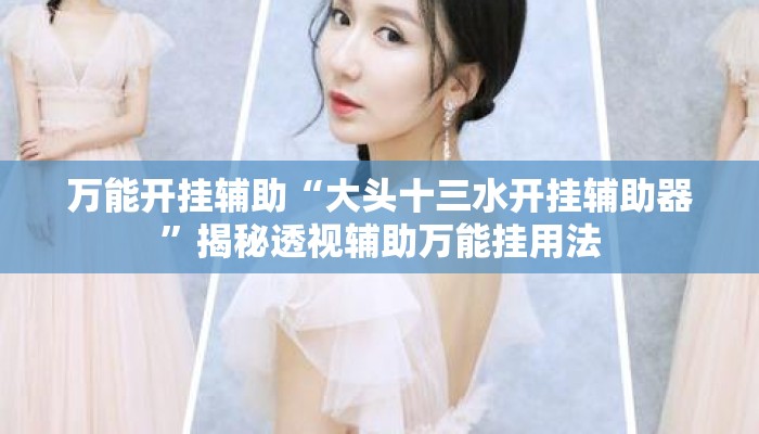 万能开挂辅助“大头十三水开挂辅助器”揭秘透视辅助万能挂用法