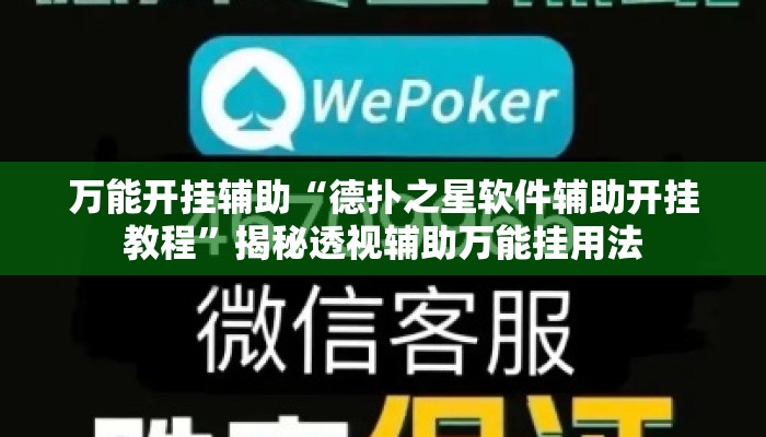 万能开挂辅助“德扑之星软件辅助开挂教程	”揭秘透视辅助万能挂用法