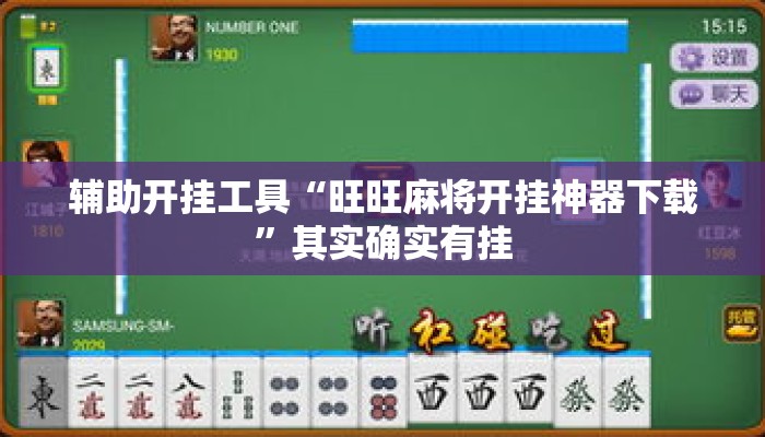 辅助开挂工具“旺旺麻将开挂神器下载”其实确实有挂